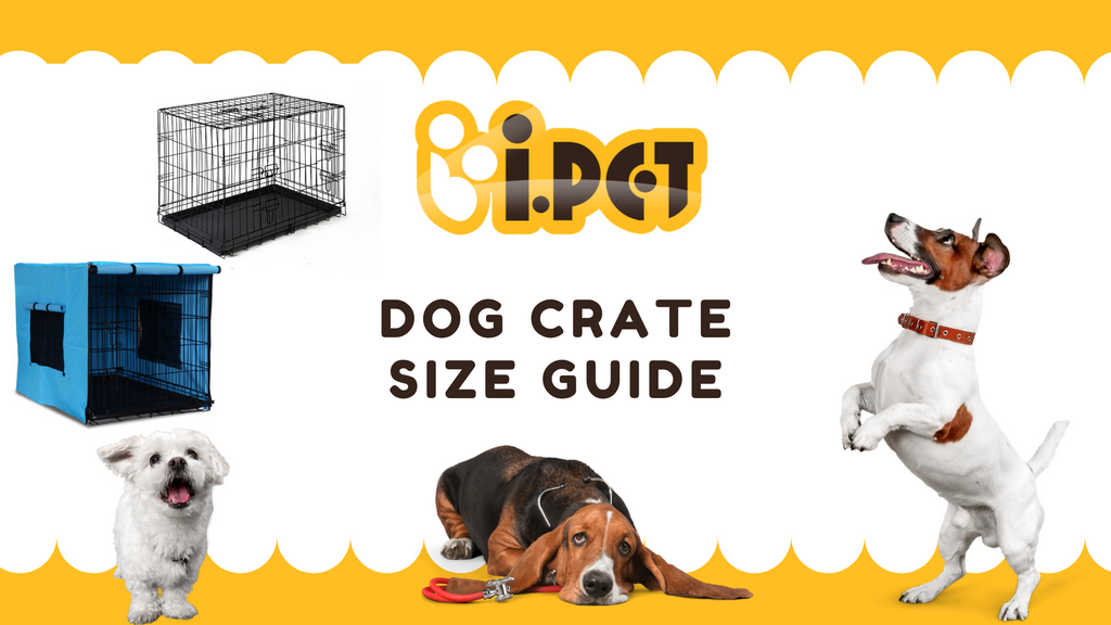 Dog Crates Size Guide i.Pet Dog Products Pet Cage Australia