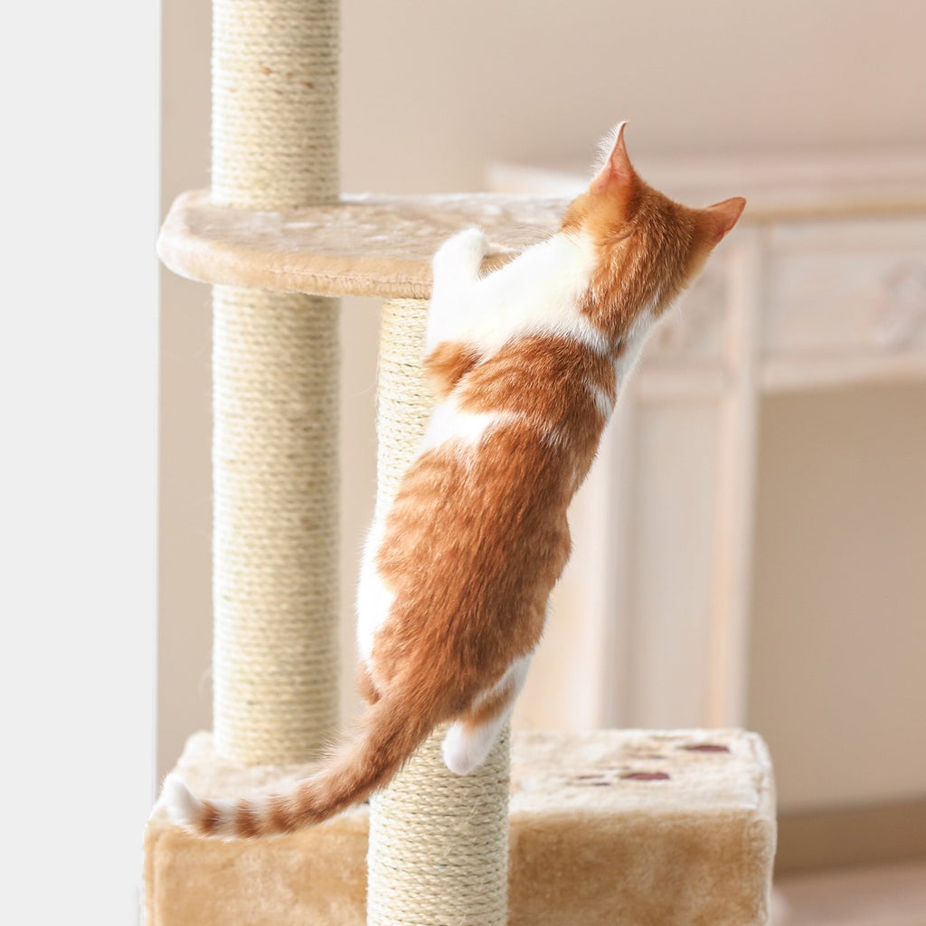 Cat Tree Cat Scratching Post Cat Tower  iPet