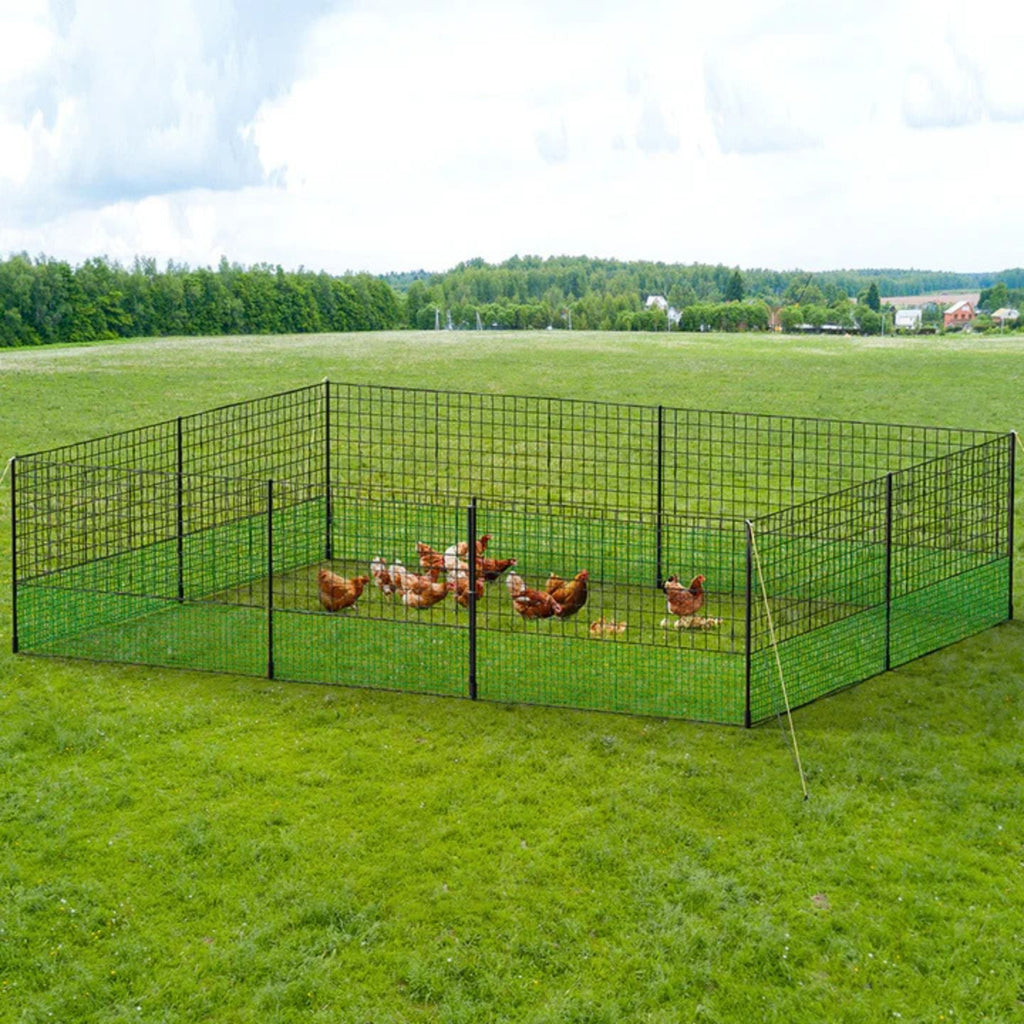 Chicken Fence