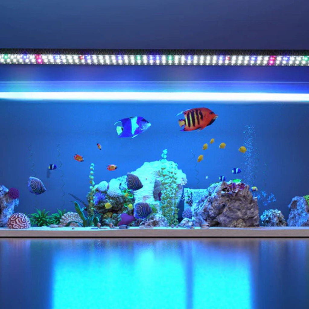 Aquarium Light