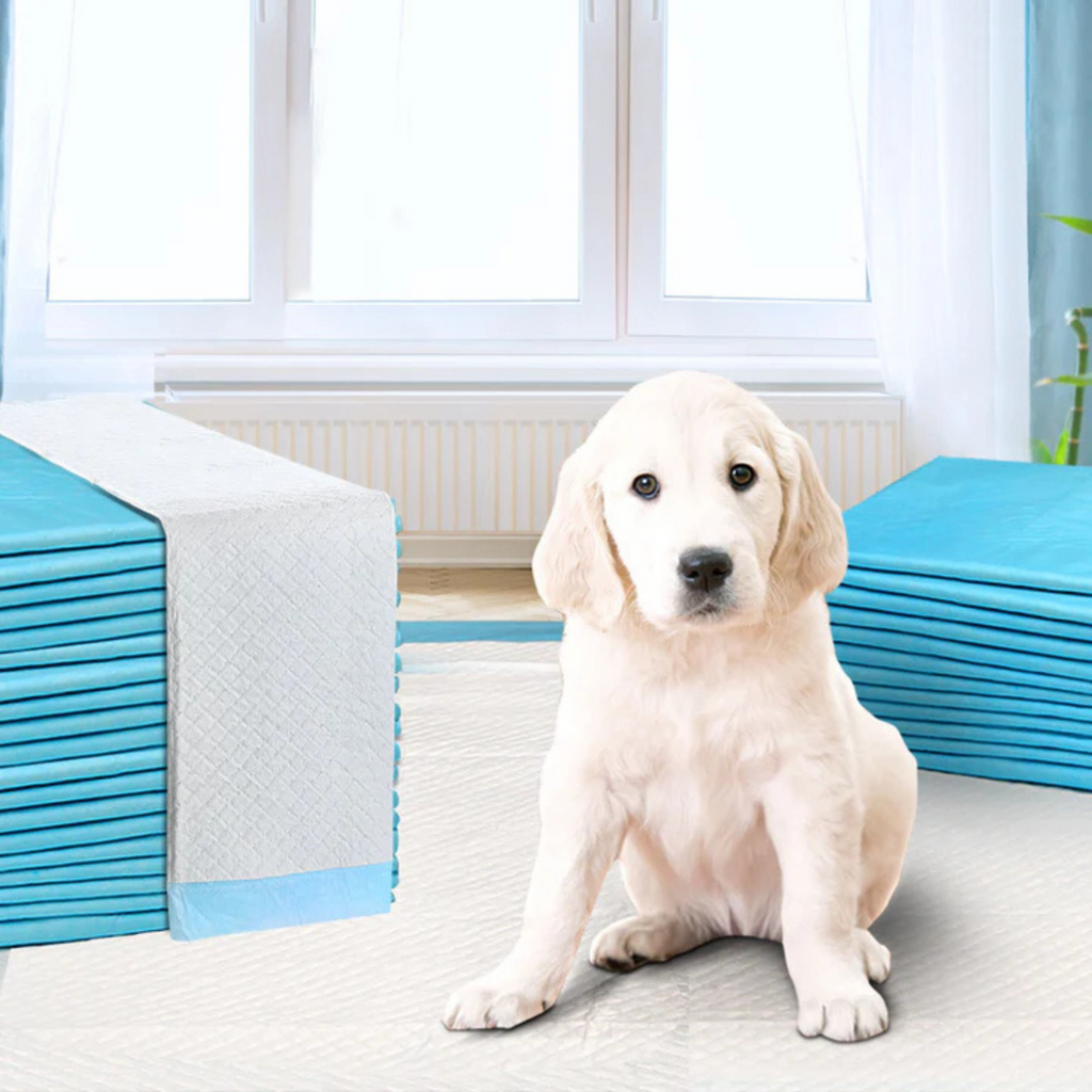 Pet Training Pad
