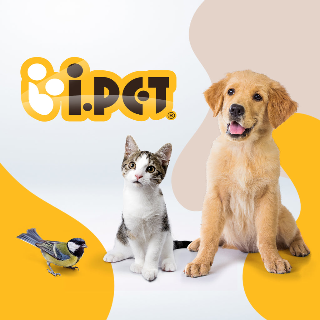 iPet Australia Pet Supplies Online