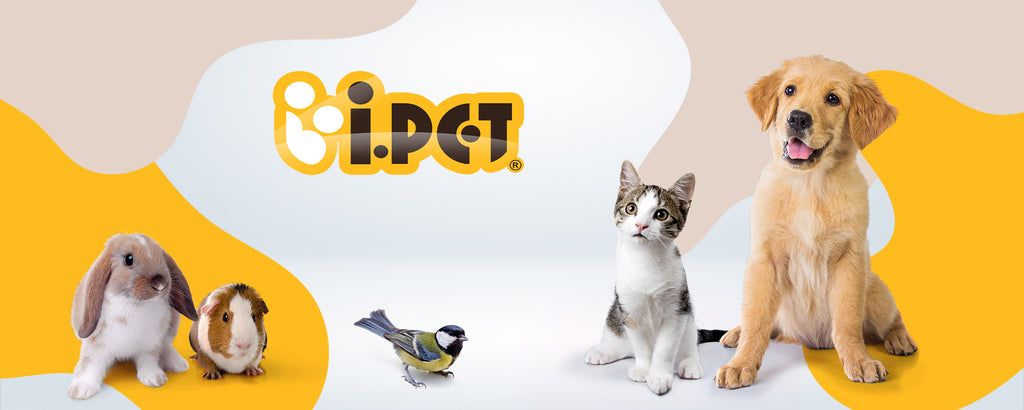 iPet Australia Online Pet Supplies Pet Products Dog Products Cat Products Rabbit Products