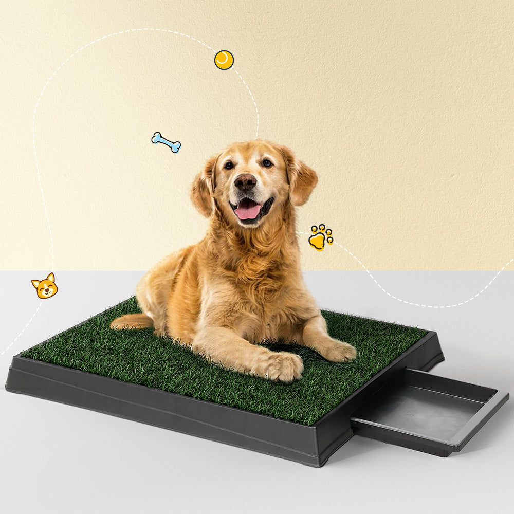 Pet Training Pad Dog Potty Toilet Large Portable With Tray Grass
